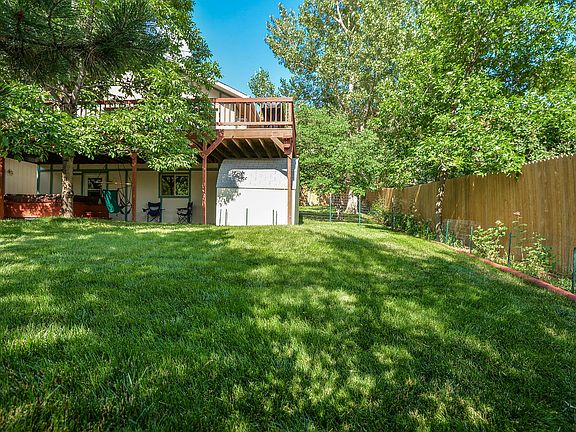 Back yard