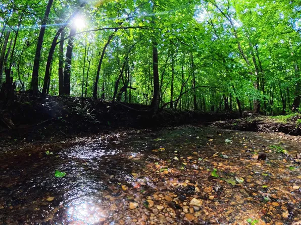995 Indian Springs Rd, Tuscumbia, AL 35674