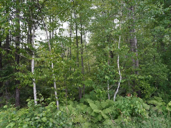 0 County Road X, Glen Flora, WI 54526