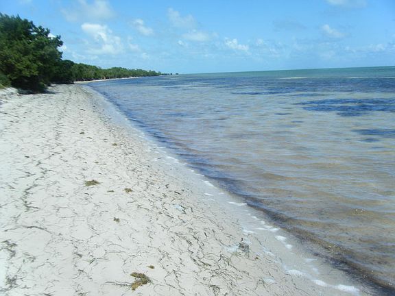 5th image of 0 Coco Plum Dr