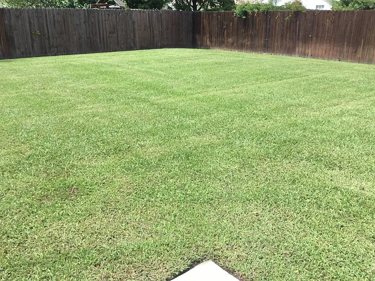 2922 Judge Manly Dr — Photo 27
