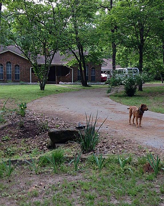 1st image of 16823 Cimmaron Dr