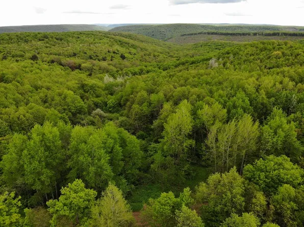 0 Rooks Rd, Ulysses, PA 16948