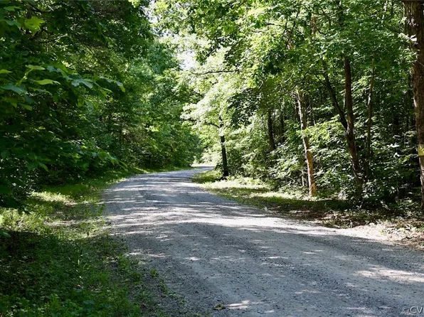 Petersville Rd, New Canton, VA 23123