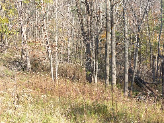 2nd image of 94-98 West St