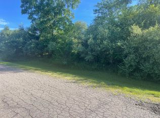 13 Liberty Woods Rd, Clarklake, MI 49234