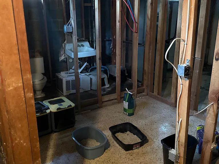 8 Wilcox Ave — Photo 14