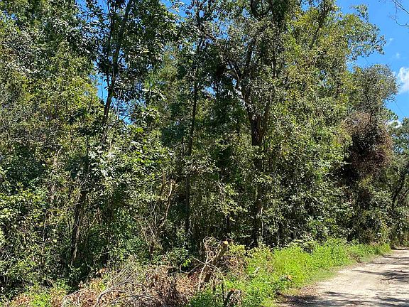 2nd image of Vacant Ne Withlacoochee Shores Ln
