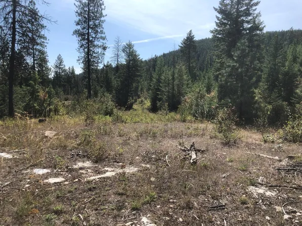 Buscher Way, Colville, WA 99114