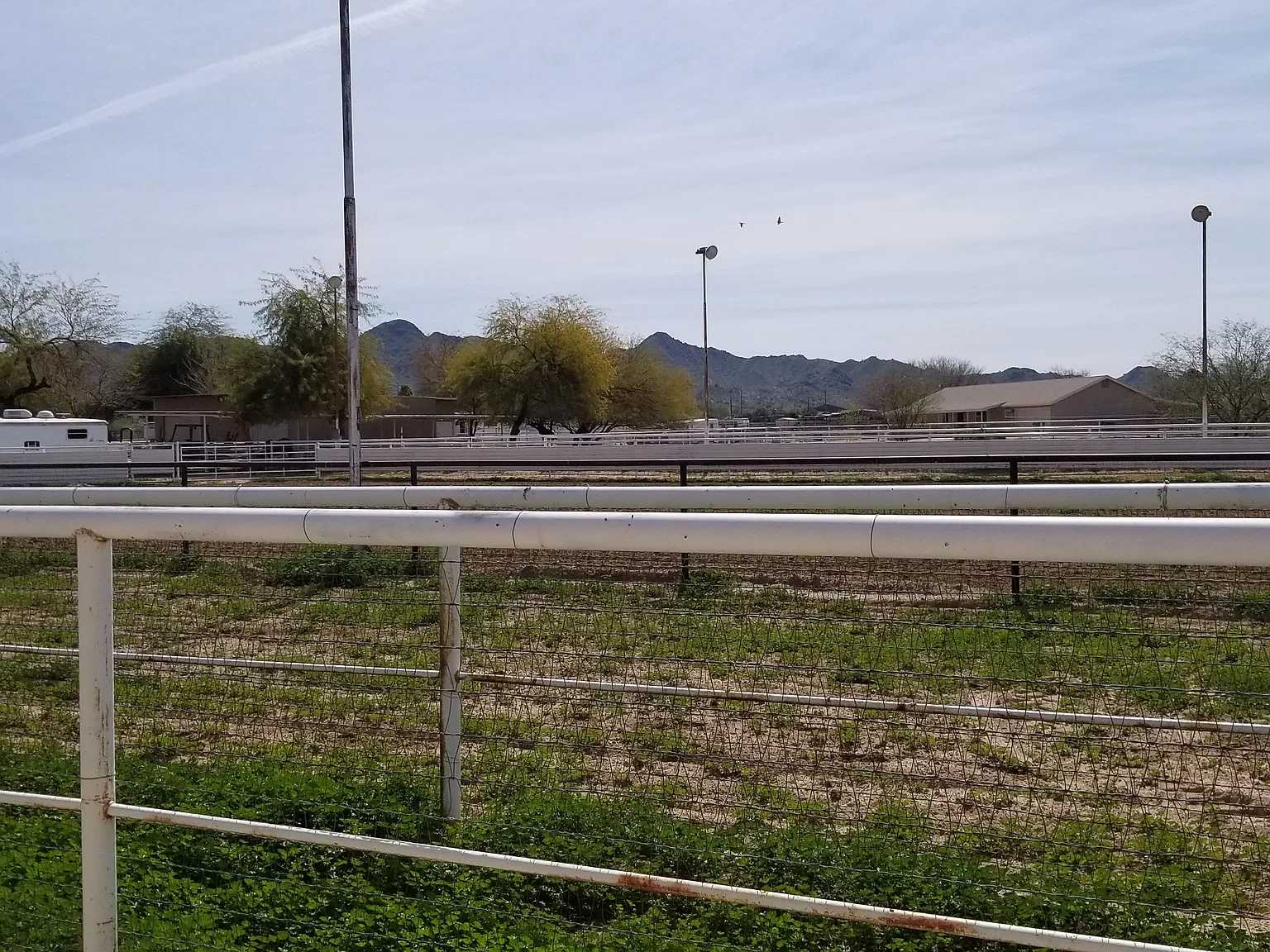 2 bed, 700 sqft, $1,295 — Photo 2