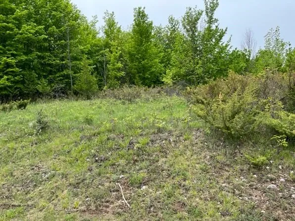 LOT-36B & 36c Kilkenny Ln, Ellsworth, MI 49729