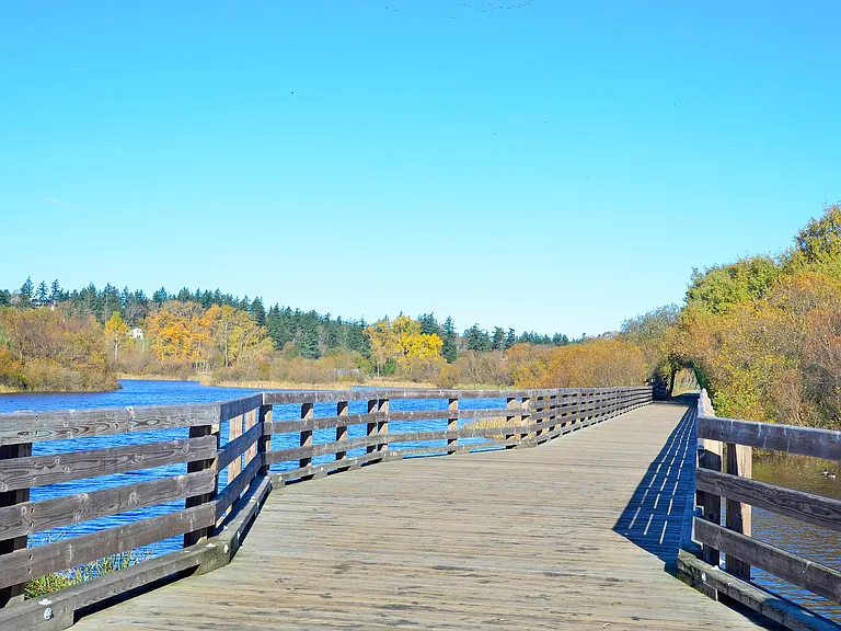 Cordova Bay Rd — Photo 69