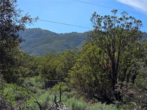 37400 Tripp Flats Rd, Anza, CA 92539