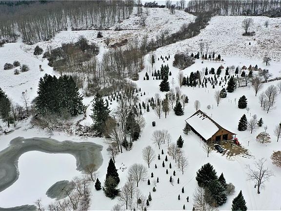 4th image of 8639 Crumb Hill Rd