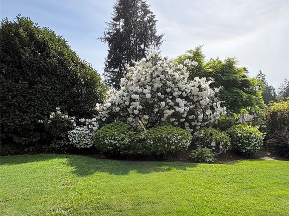 3rd image of 10 Forest Glen Lane SW