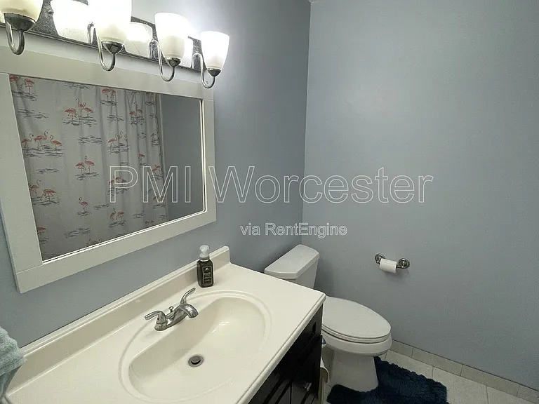 244 Weatherstone Dr — Photo 26