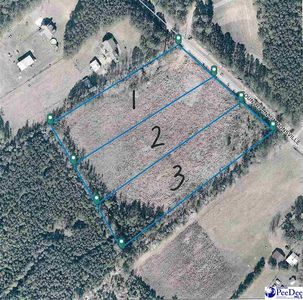 Country Ln LOT 1, Timmonsville, SC, 29161