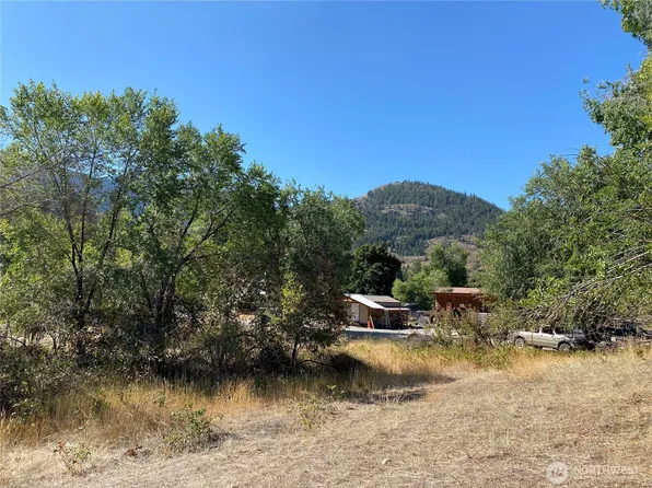 1226 Riverside (New Parcel B) Avenue, Twisp, WA 98856