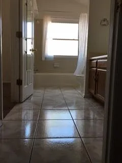 master bathroom/bath tub
