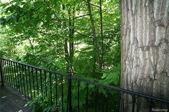 5th image of 1165 Ivyglen Cir
