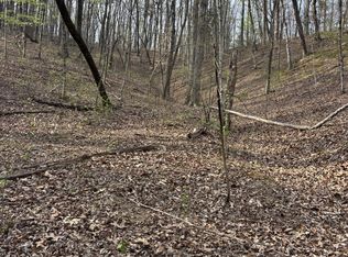 408 Back Valley Rd, Sale Creek, TN 37373
