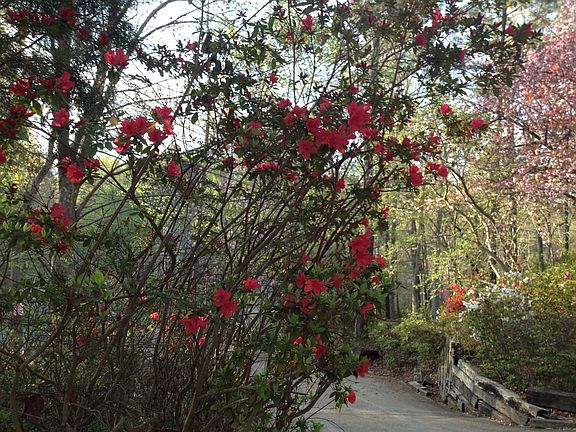 along driveway