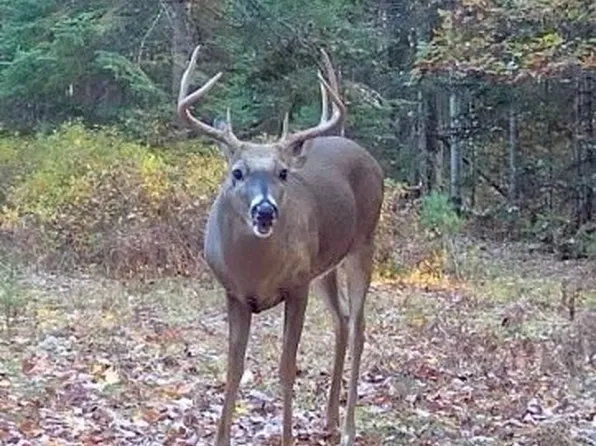 2705 N National City Rd, National City, MI 48748