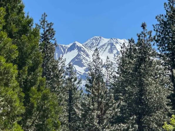 Dogwood Dr, Weed, CA 96094