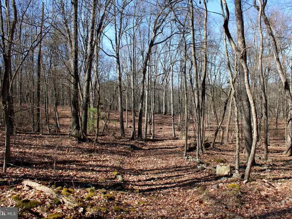 7 Hamilton Estates Dr, Romney, WV 26757