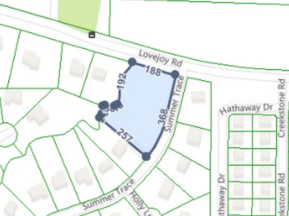 11507 Summer Trce, Hampton, GA 30228