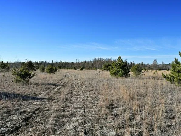 14.97 Acres Hwy 63, Hayward, WI 54843