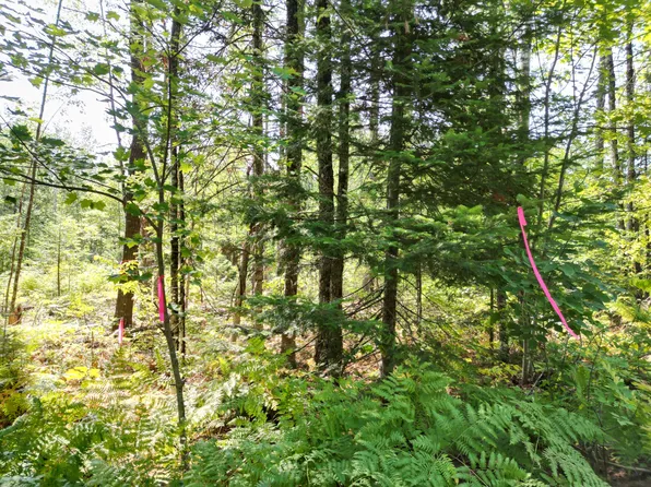 Lot 4 Fogg Brook Road, Lowell, ME 04493
