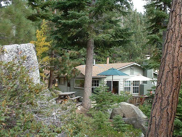 Enjoy the Lake Tahoe forest