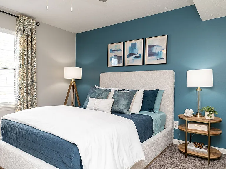 Cozy bedroom with carpet
