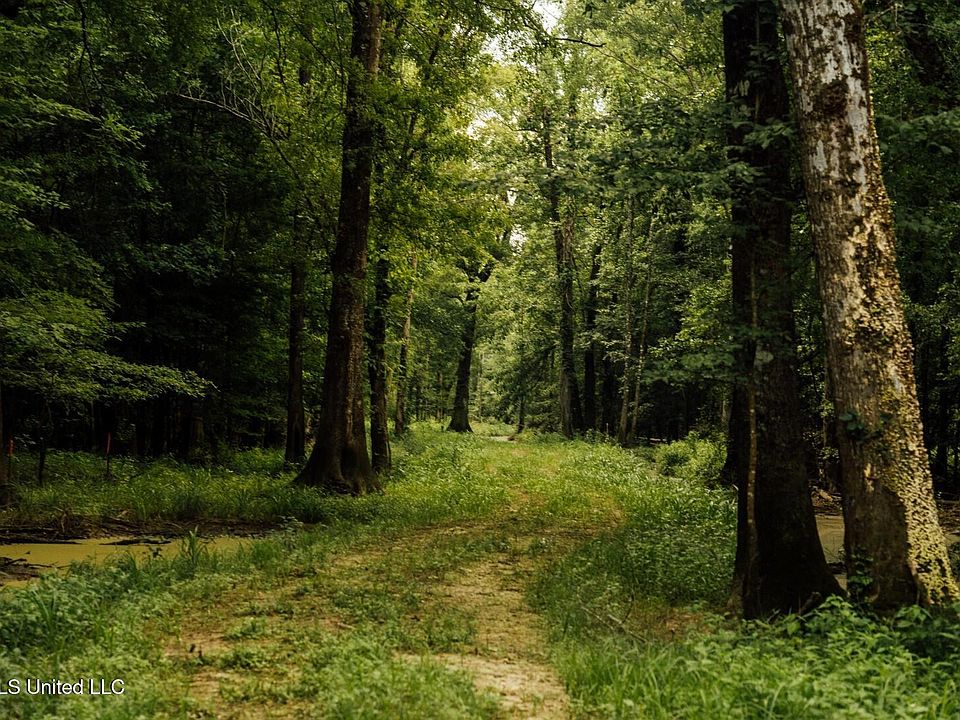 34th image of this home