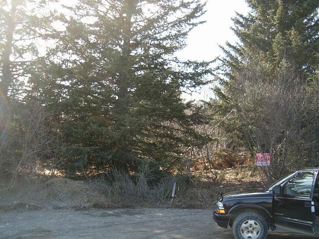 2nd image of L25-B7 Rosebud Ct