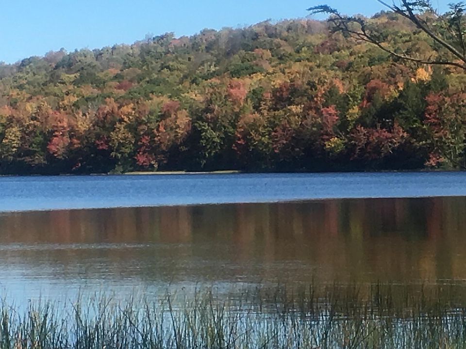 307 Island Lake Rd, Starrucca, PA 18462 Zillow