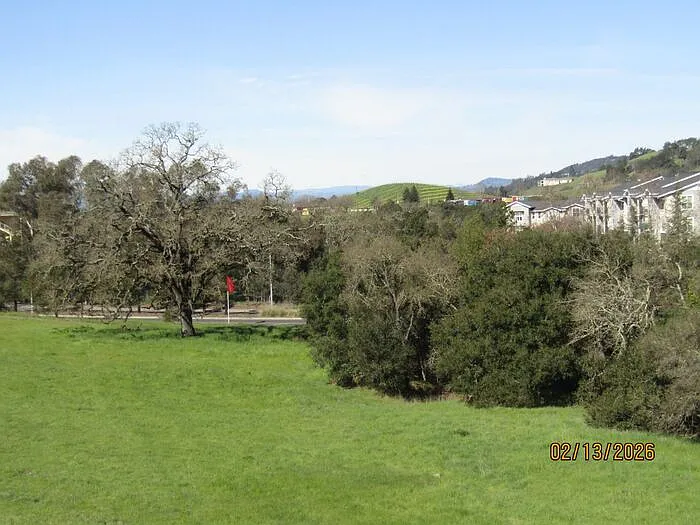 347 Semillon Ln — Photo 7