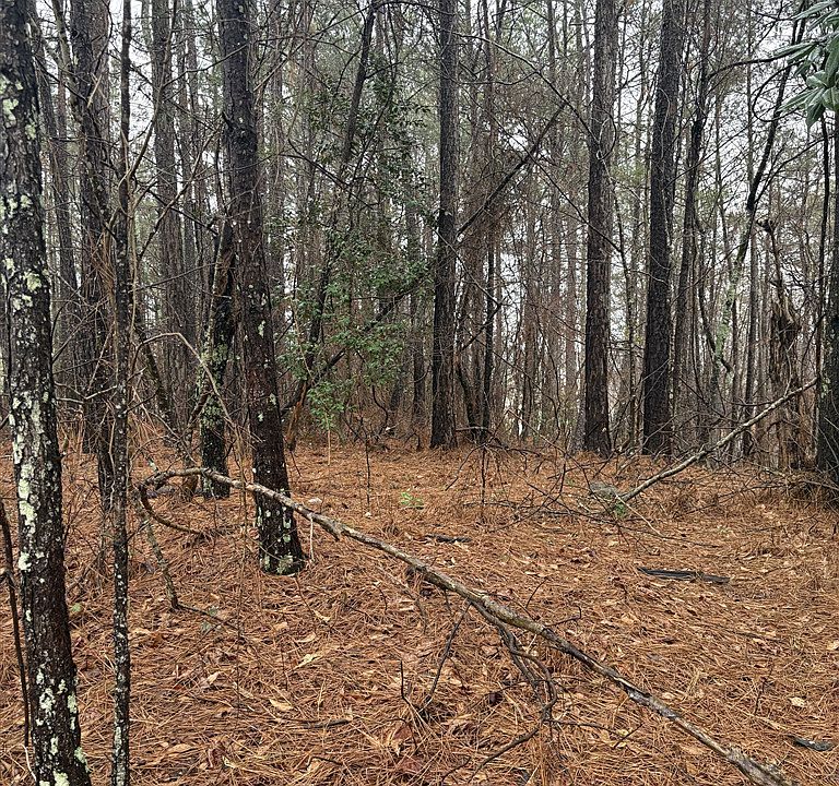 2nd image of 1205 Alcovy Ridge Dr