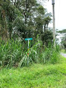 Lehua Rd, Pahoa, HI, 96778
