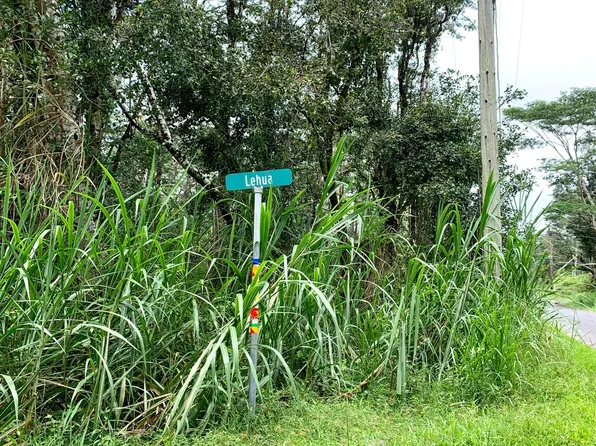 Lehua Rd Lot 14, Pahoa, HI 96778