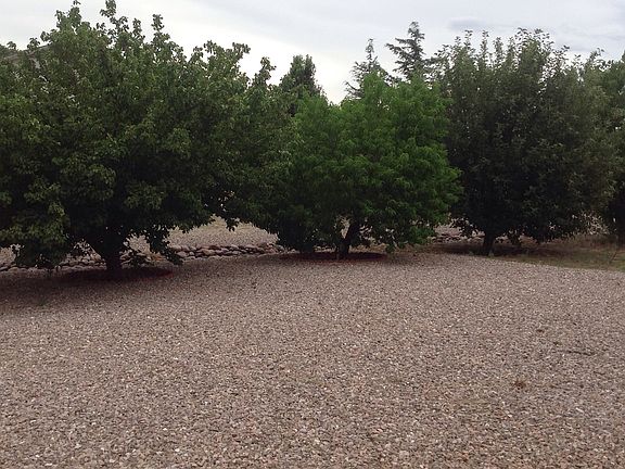 Small Orchard