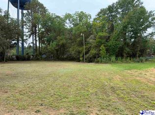 1002 E Dargan St, Dillon, SC 29536