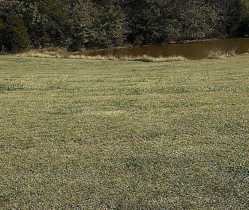 5th image of 174 Crider Dulaney Rd