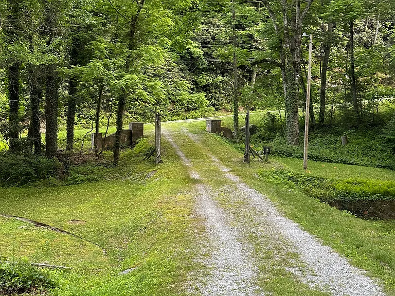 10190 Rosman Hwy — Photo 15