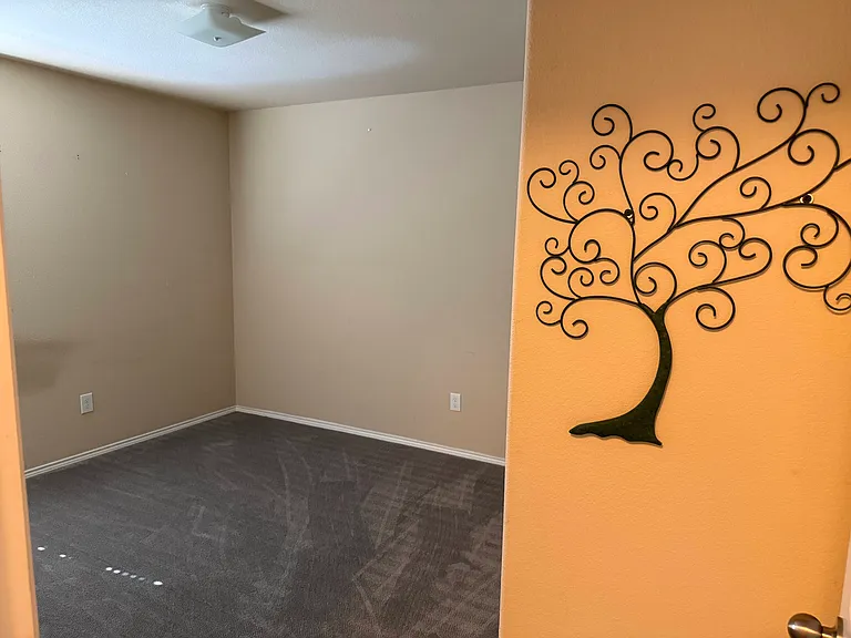 11617 Summer Springs Dr — Photo 18