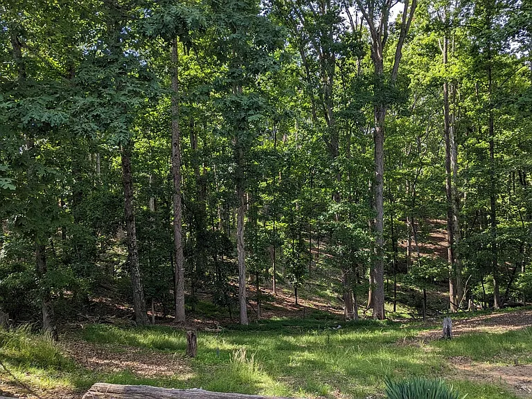 3778 Chestatee Rd — Photo 28