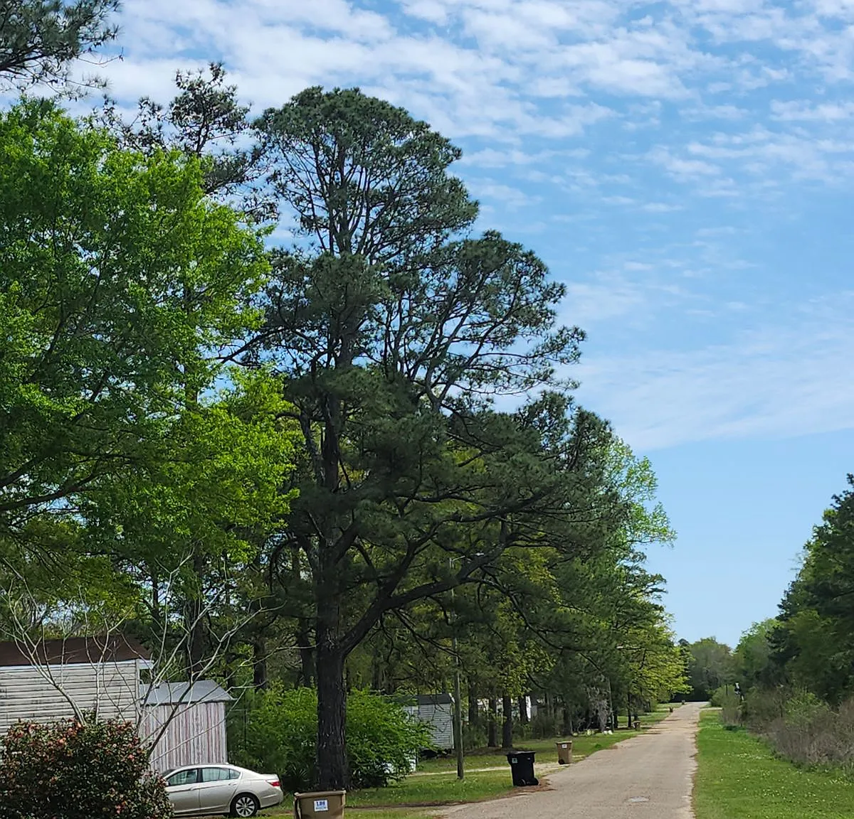 Hidden Acres Park. — Photo 2