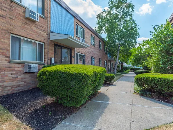 AIY Classic Collection