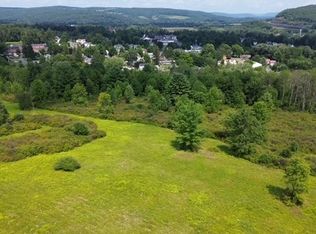 0 Tyler Street And Cornell Dr, Bainbridge, NY 13733